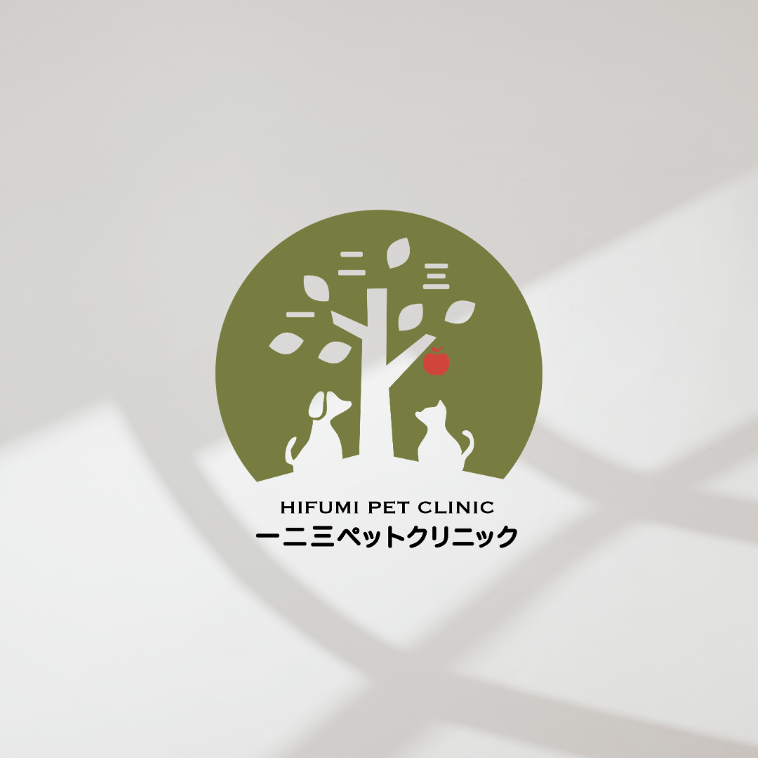 Logo Design 12